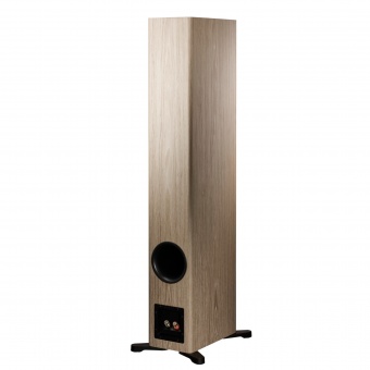 Dynaudio Evoke 50 (Blonde wood)