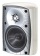 Martin Logan ML-45AW (White)