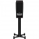 Dynaudio Confidence 20 (Raven wood high gloss) Dynaudio Confidence 20 (Raven wood high gloss)
