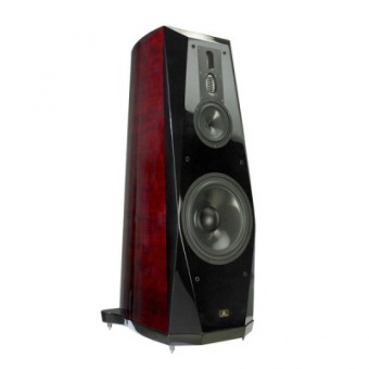 Aurum Cantus V12F SE rosewood