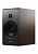 Dynaudio Emit 20 (Walnut wood)