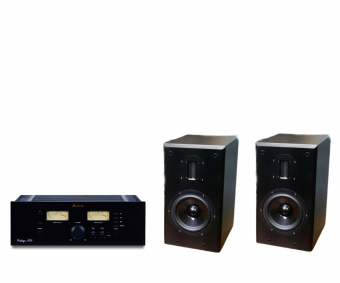 Aurum Cantus 610+Audreal Vintage A30 (Black)