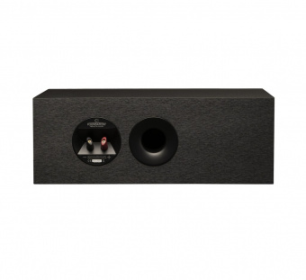 Martin Logan Motion Foundation С1 (Black)