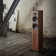 Dynaudio Evoke 30 (Walnut wood) Dynaudio Evoke 30 (Walnut wood)