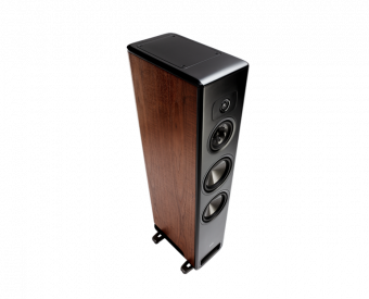 Polk Audio  Legend L600 (walnut)
