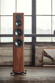 Dynaudio Evoke 50 (Walnut wood)