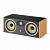 Focal  Aria EVO X Center