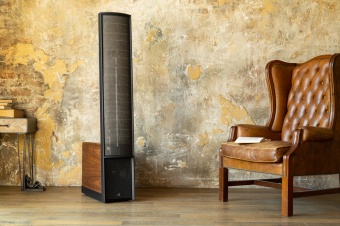 Martin Logan Classic ESL 9 (Walnut)