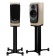Dynaudio Confidence 20 (Blonde wood) Dynaudio Confidence 20 (Blonde wood)