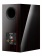 Dynaudio Special Forty (Black vine) Dynaudio Special Forty (Black vine)