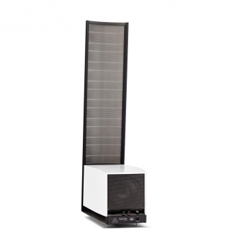 Martin Logan Expression ESL 13A (Gloss white)