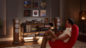 Denon DP-3000NE (wood)