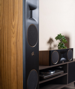 Martin Logan Motion XT F200 (Walnut)