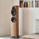 Sonus Faber Sonetto III G2 (Walnut) Sonus Faber Sonetto III G2 (Walnut)