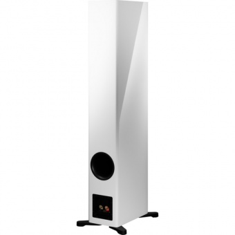 Dynaudio Evoke 50 (White high gloss)