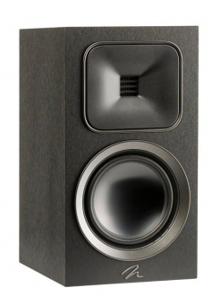Martin Logan Motion Foundation B1 (Black)