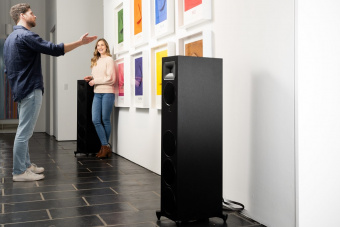 Martin Logan Motion Foundation F2 (Black)
