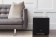 Martin Logan Dynamo 1100X (Black) Martin Logan Dynamo 1100X (Black)