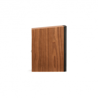 Martin Logan Motion B10 (Walnut)