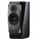 Dynaudio Confidence 20 (Midnight high gloss) Dynaudio Confidence 20 (Midnight high gloss)