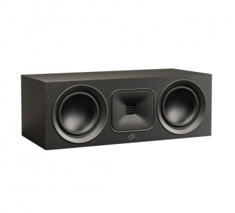 Martin Logan Motion Foundation С1 (Black)