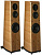 Aurum Cantus Melody M-102SE cherry
