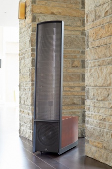 Martin Logan Expression ESL 13A (Walnut)