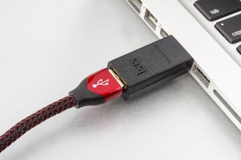 AudioQuest JITTERBUG