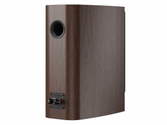 Dynaudio Contour 20i (Walnut wood)