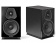 Sonus Faber Lumina II (Black) Sonus Faber Lumina II (Black)