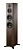 Dynaudio Evoke 50 (Walnut wood)