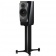 Dynaudio Confidence 20 (Midnight high gloss) Dynaudio Confidence 20 (Midnight high gloss)