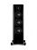 Quad REVELA 2 (High Gloss Black) Quad REVELA 2 (High Gloss Black)