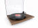 Rega Planar 1 (Carbon MM) walnut Rega Planar 1 (Carbon MM) walnut