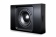 Bluesound Pulse Sub Plus (black) Bluesound Pulse Sub Plus (black)