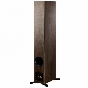 Dynaudio Evoke 50 (Walnut wood)
