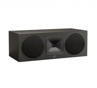 Martin Logan Motion Foundation С1 (Black)