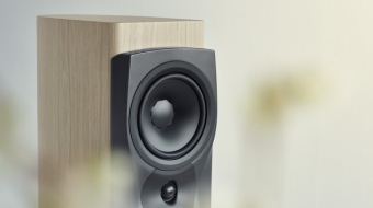 Dynaudio Confidence 30 (Blonde wood)