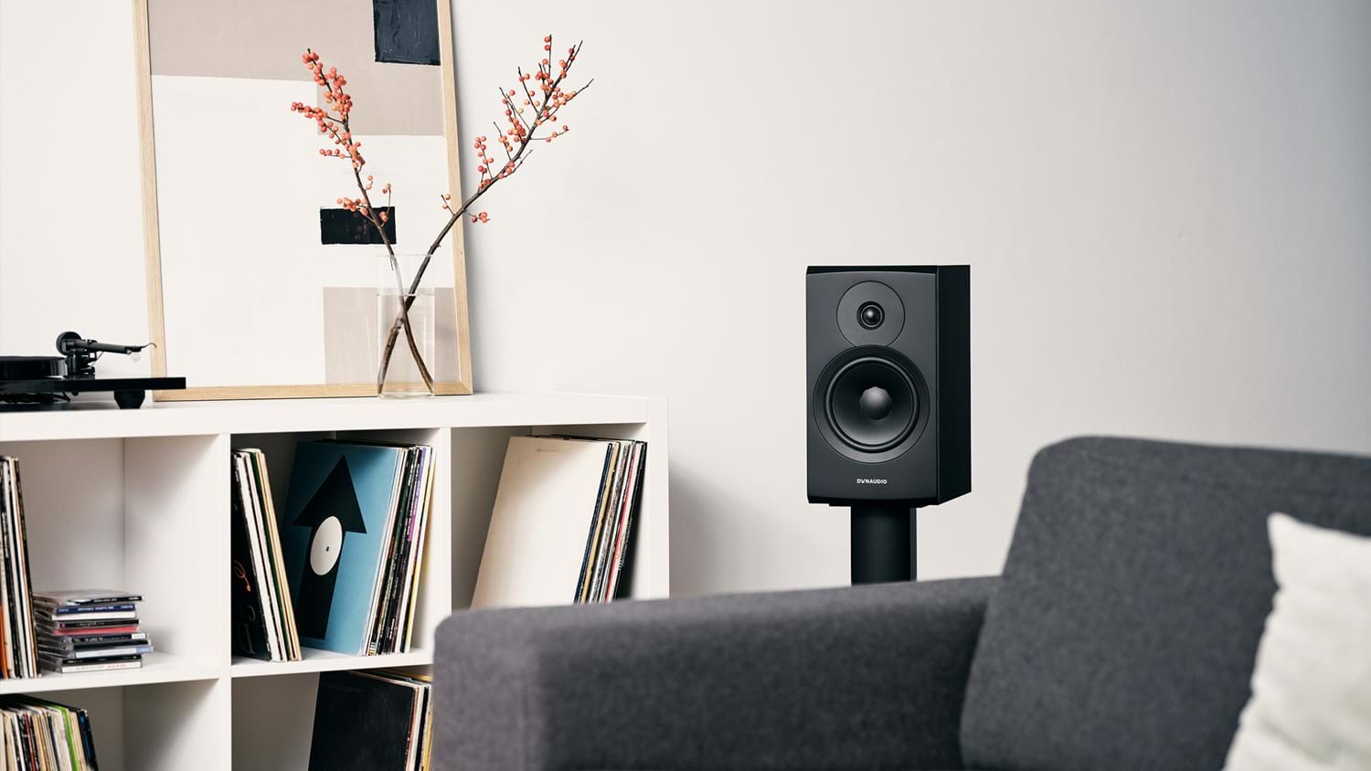 Dynaudio Emit 20 - Полный обзор новинки 2021 года! 