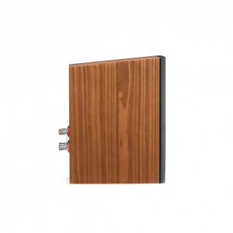 Martin Logan Motion XT B100 (Walnut)
