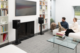 Martin Logan Motion Foundation B2 (Black)