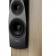Dynaudio Confidence 50 (Blonde wood) Dynaudio Confidence 50 (Blonde wood)