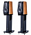 Aurum Cantus Melody V30M wood