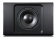 Bluesound Pulse Sub Plus (black) Bluesound Pulse Sub Plus (black)