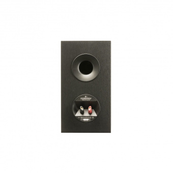 Martin Logan Motion Foundation B1 (Black)